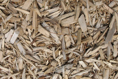 biomass boilers Brimaston